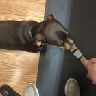 Winston