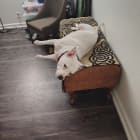 Zoey