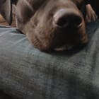 Billy