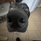 Billy