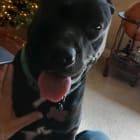 Billy