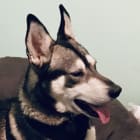 Riley