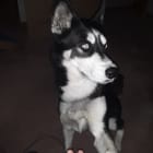 Vader
