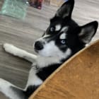 Vader