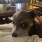 LULU