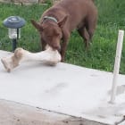 Duncan