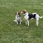 Ralph and Ed