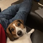 Ralph and Ed