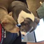 Brynn and Girl