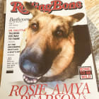 Rosie