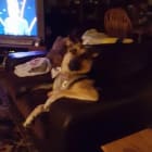 Rosie