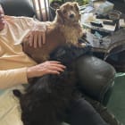 Presley-Reese-Bubba
