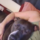 Yaya