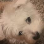 Lucy
