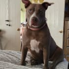 Nadia