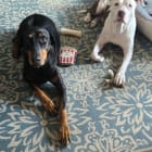 Anja and Niko