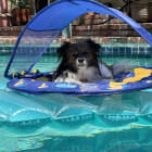 Gizmo