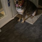 Charlie