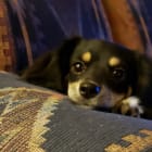 Chloe
