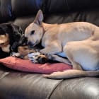 Matilda and Libbi