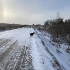 Cheyenne
