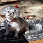 Sammy