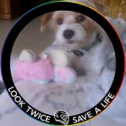 Jake