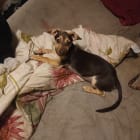 Little One