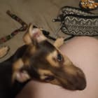Little One