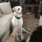Marley