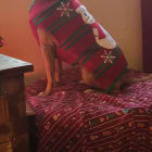 Gypsy