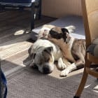 Howie an Ernie