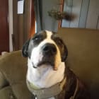 Mia
