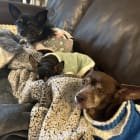 Maya and sister Gracie