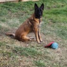 Xena