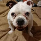 Winnie