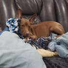 Duncan