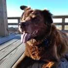 Theodore