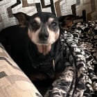 Axel