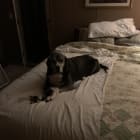 Maggie