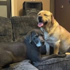 Ares and Thor