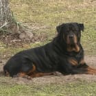 Boudreaux
