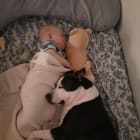 Nala Delaweez