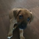 BUBBA