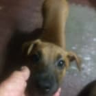 BUBBA