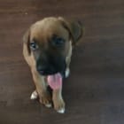 BUBBA