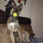 Hi 5