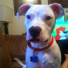 Roscoe