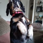 Nora