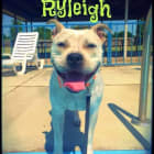 Ryleigh Payge